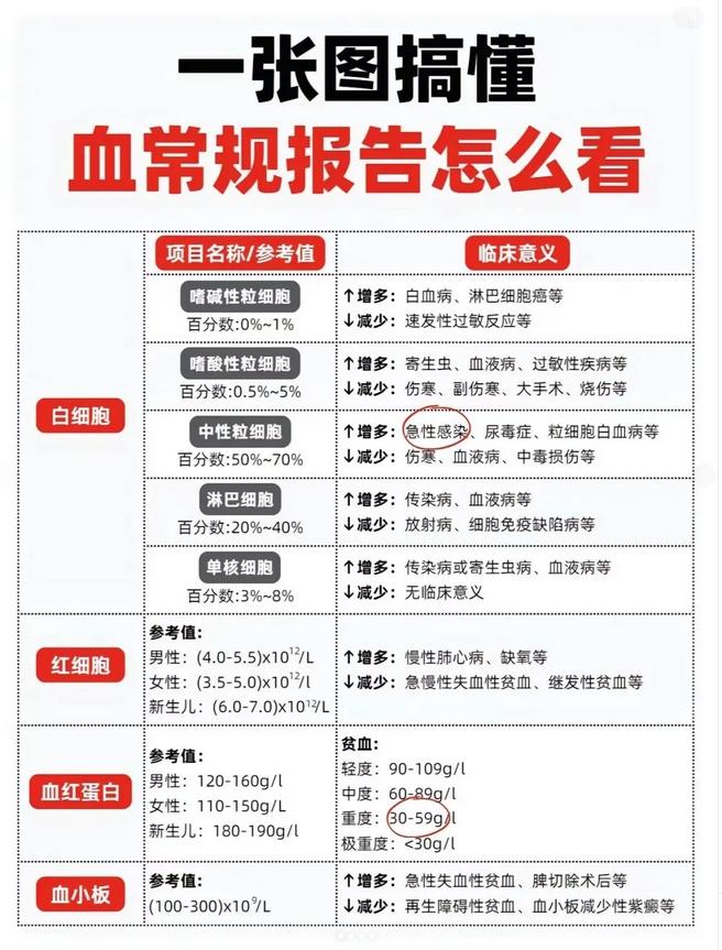 一张图搞懂 ，血常规报告怎么看。