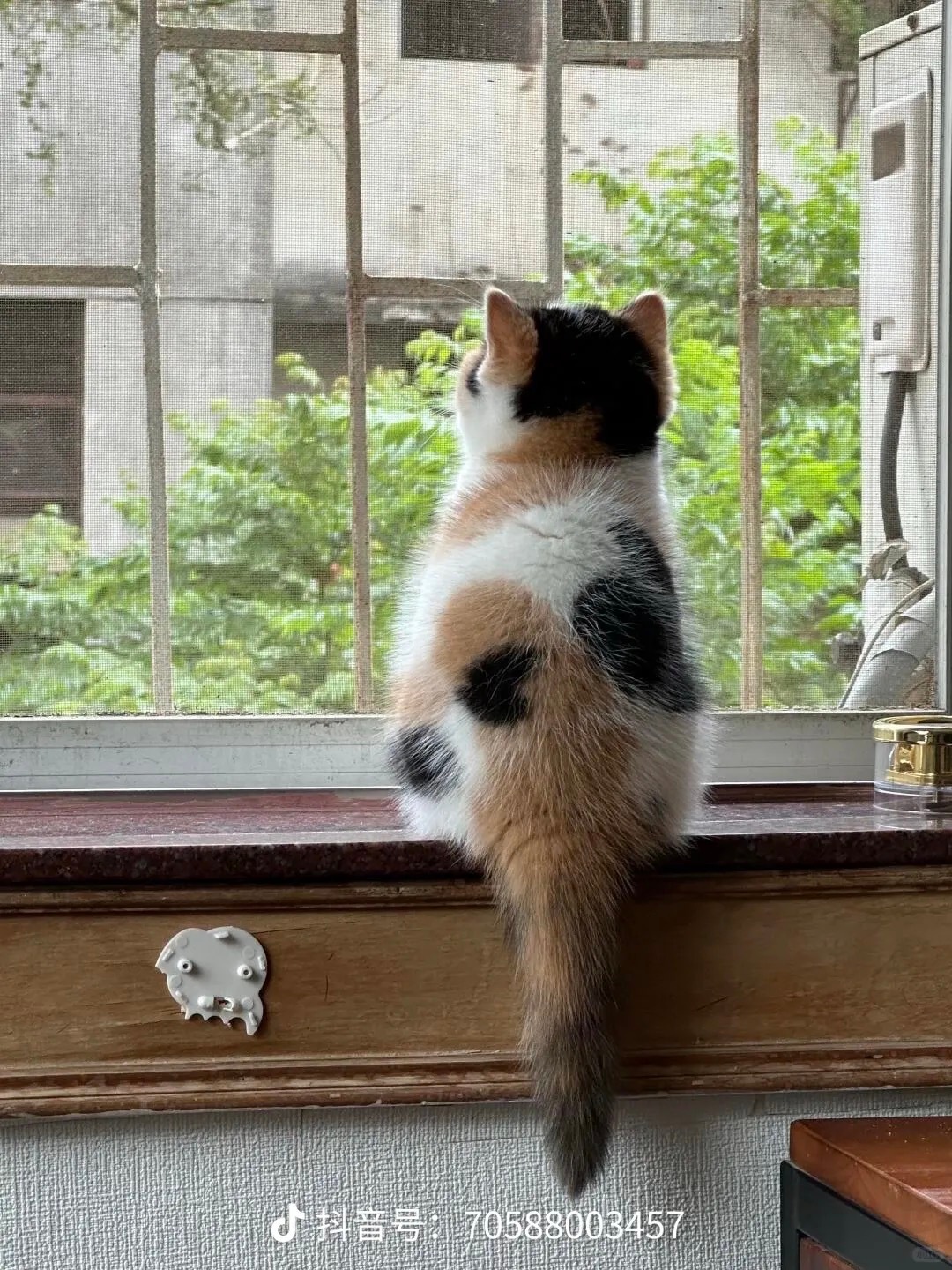 早上好这个季节居然有蚊子，被咬了个大包。 