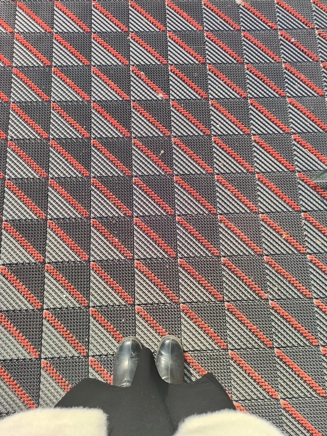 今天太阳可太好了，喜欢