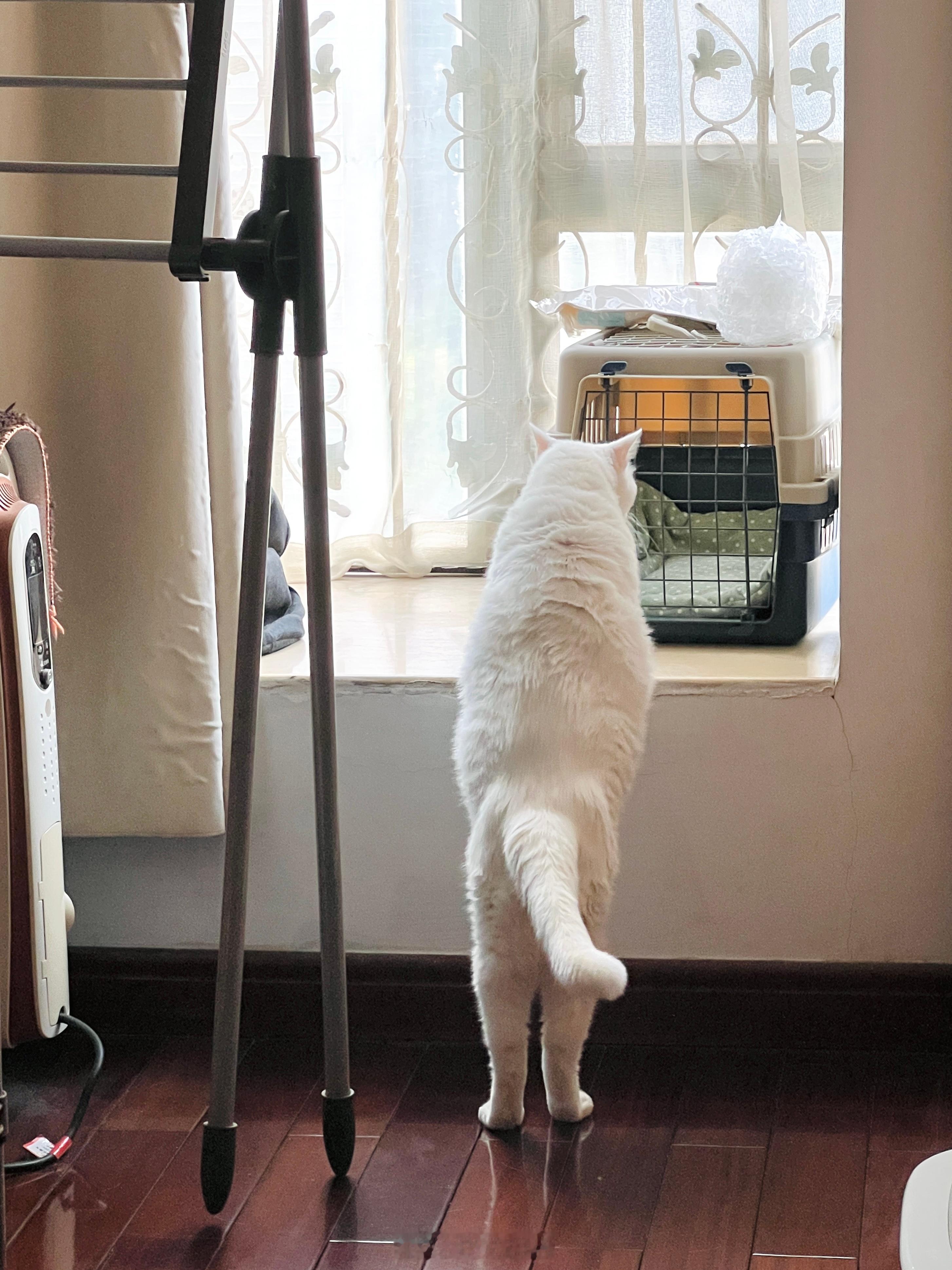 九頭身惹～～ ​​​