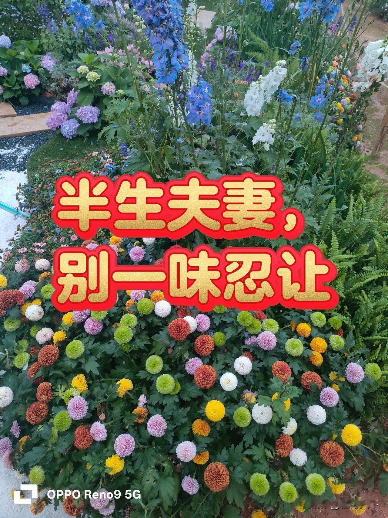 五十岁以后才明白：男人总被老婆骂，从来不是没本事
 
很多人都说，中年男人在家挨