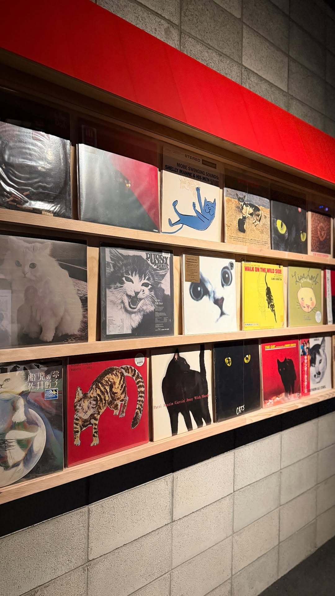 “CB百蓝_。260327金钟云 ins story更新： 