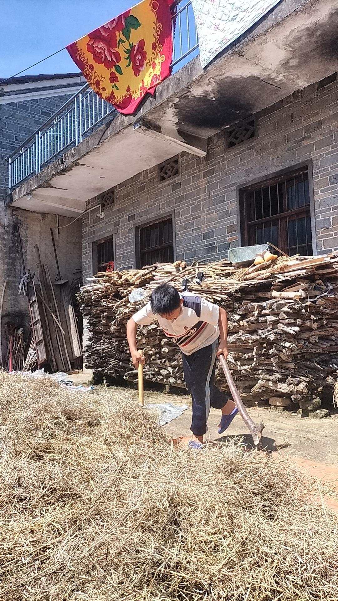为什么每个小学生都会乖乖听老师的话？五一劳动节放假5天，我问兵兵有没有作业？他说