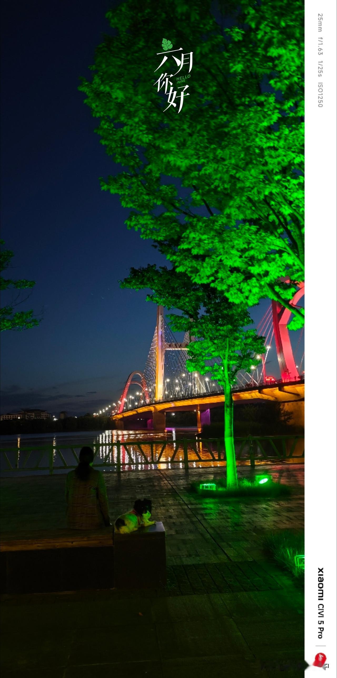 昨夜活动结束漫步汉江湿地公园，夏夜树影婆娑，晚风也不那么燥热，还有温甜的花香随风