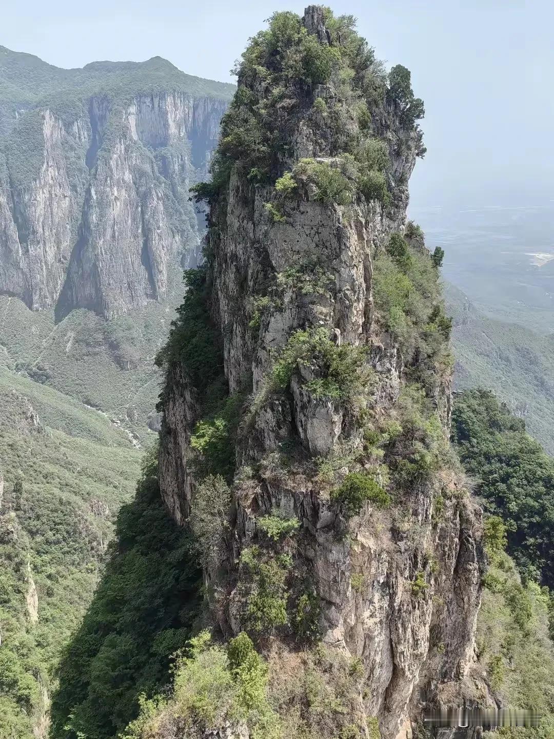 黄山有几条索道，为什么不能运输生活所需？本人也去过黄山，看到汗流浃背的挑夫，确实