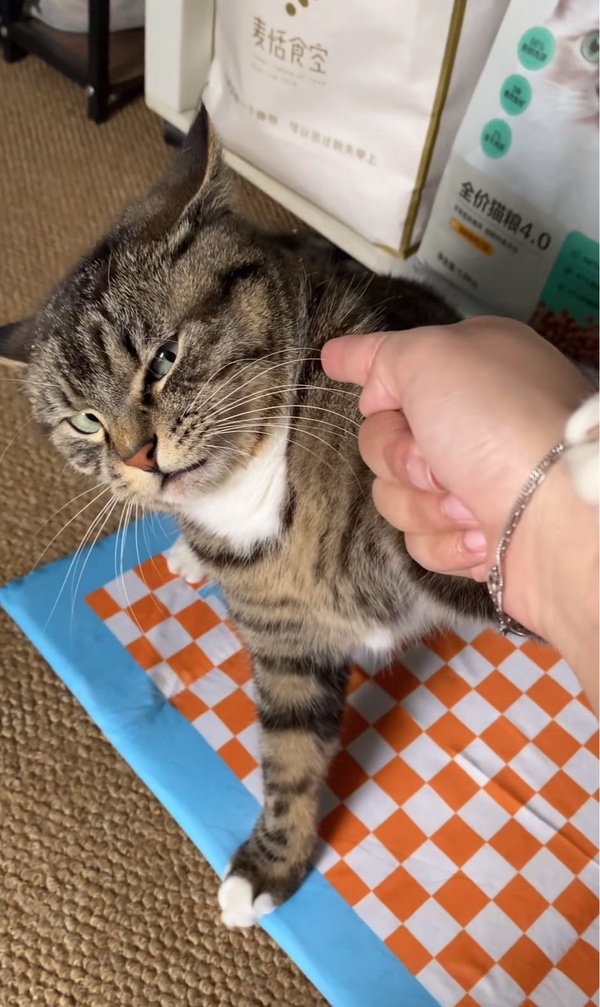 车若初见 你怎么回事？小老弟