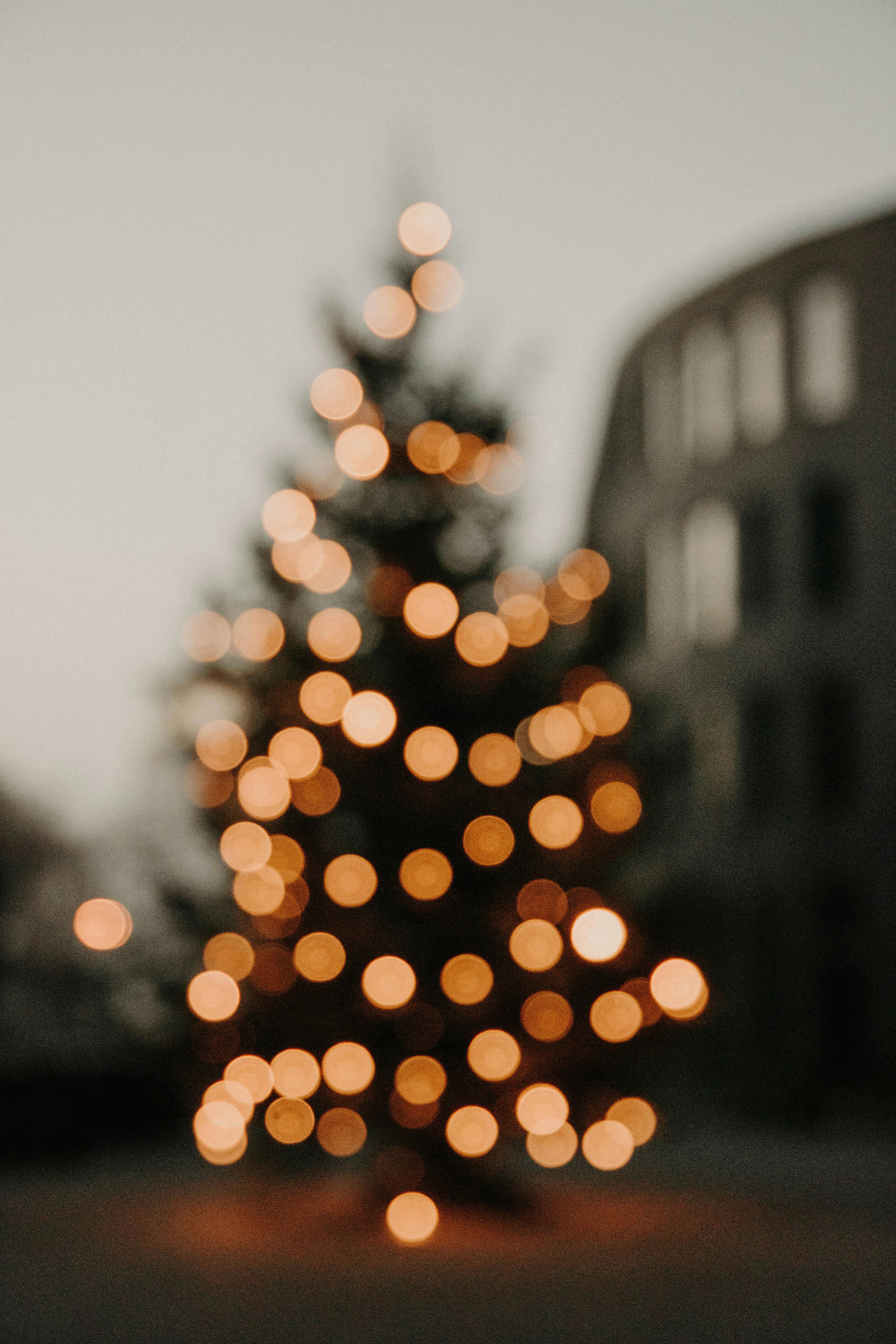 ✨🎄 …♡…𝓶𝓮𝓻𝓻𝔂 𝓬𝓱𝓻𝓲𝓼𝓽𝓶𝓪𝓼…♡…?