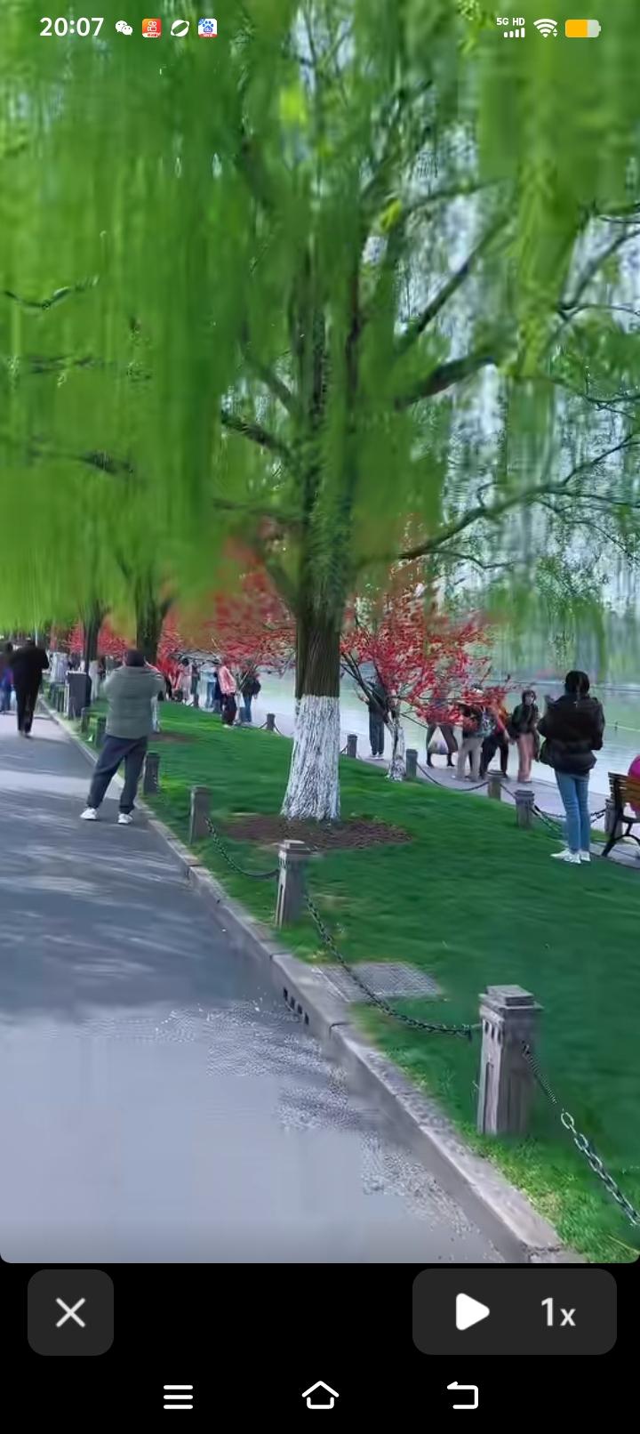 西湖三月，宛如画卷铺展眼前，桃花嫣红、柳枝翠绿，这般醉人景致，直教人沉醉不知归返