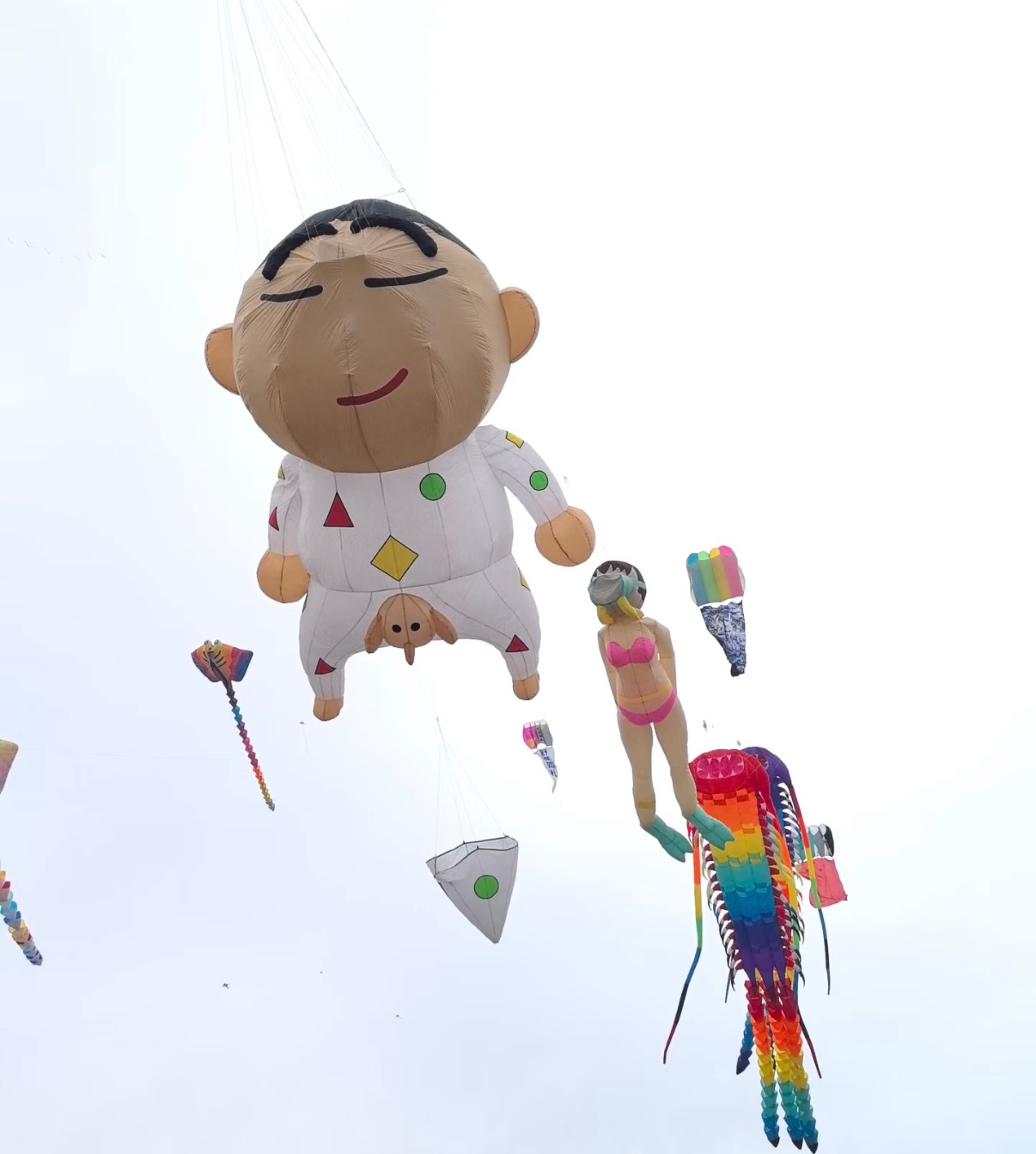 第一次见会搭讪的风筝第一次用社牛评价一个风筝 第一次见会搭讪的风筝，咱就说各种样