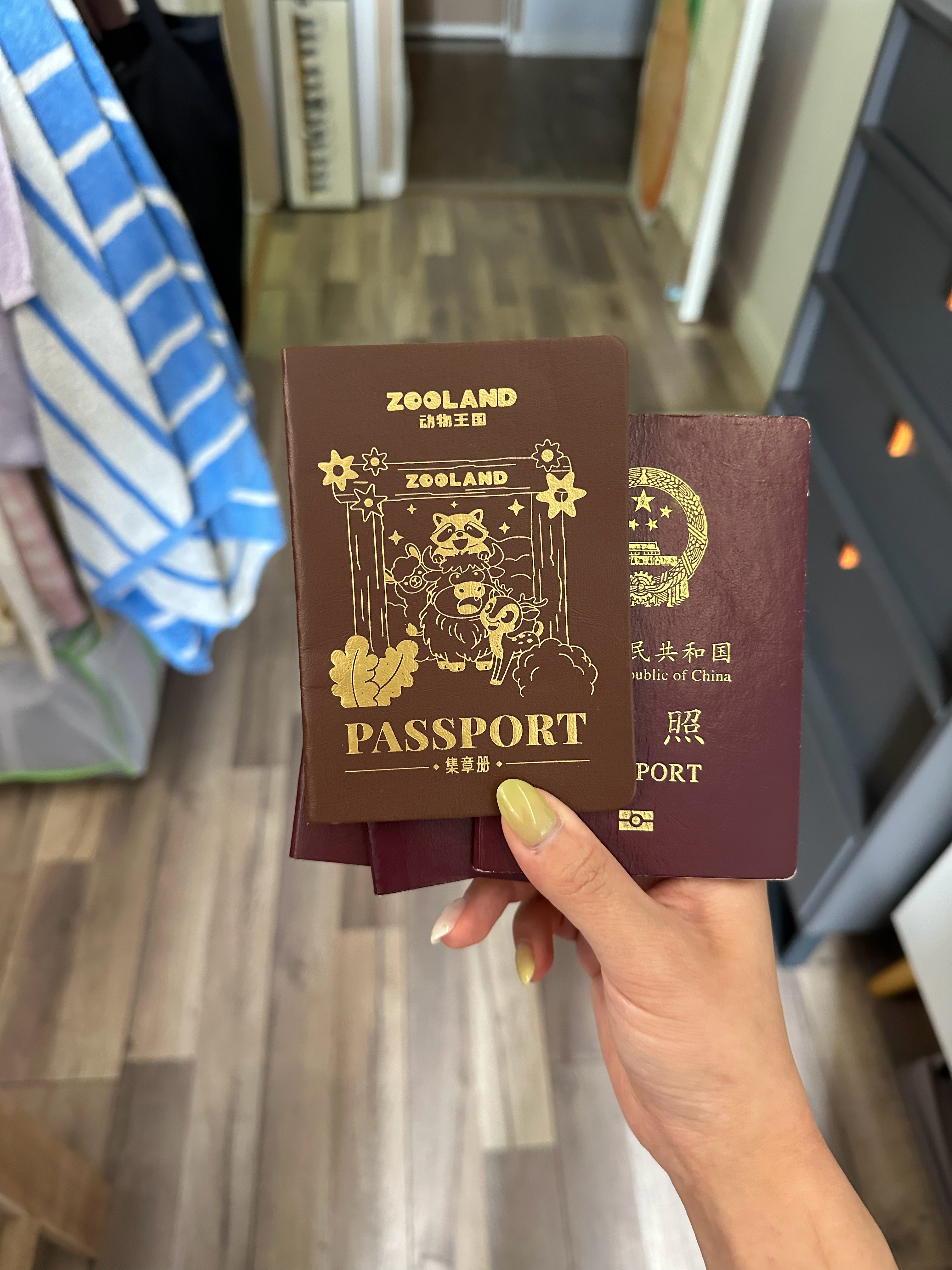 小虾旧护照到期了软件上买不了票，我让他给我新护照重新录一下，结果他递给我这个