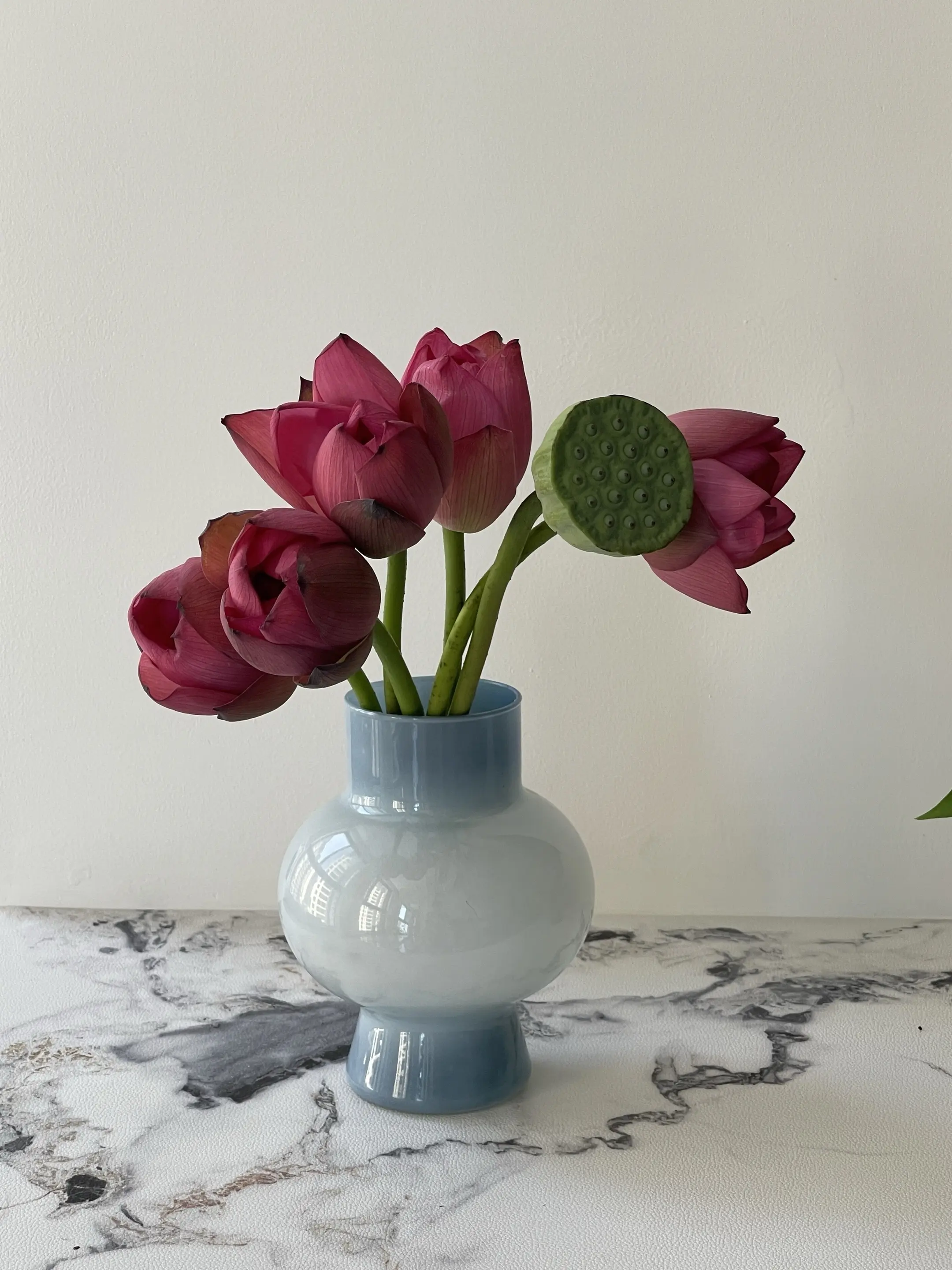 荷花也不知道 自己就是夏天