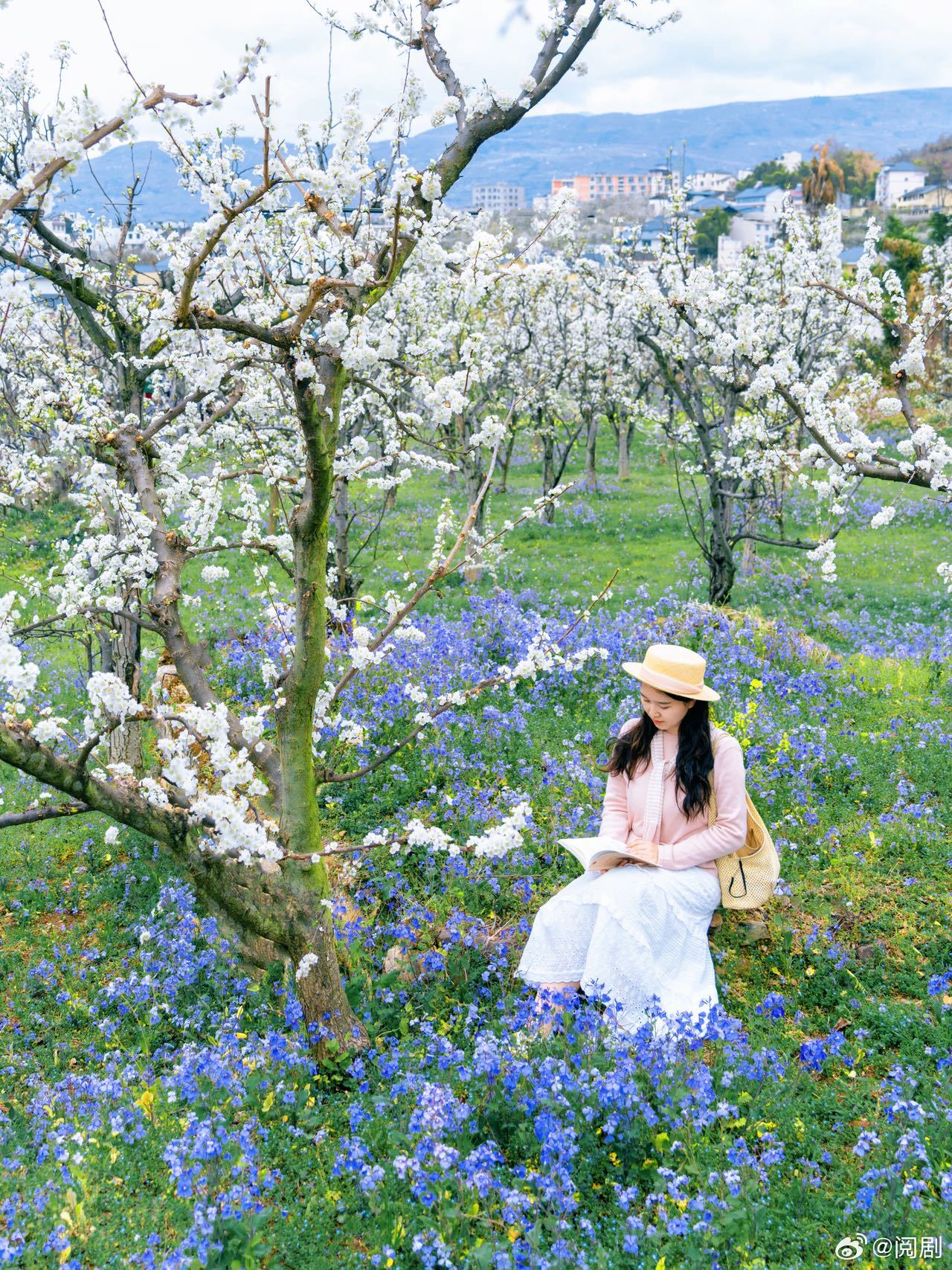 成都汉源遇见最美梨花汉源梨花今又开 春天一定要去汉源看一次梨花，现在正是最佳观赏