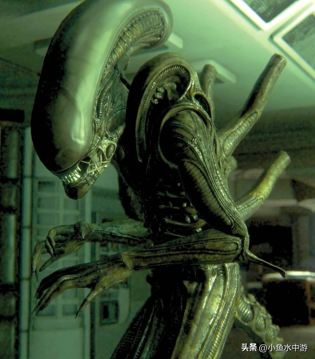 《异形：罗慕路斯 2》导演人选确定！《噤界：入侵日》、真人版《死亡搁浅》导演接手