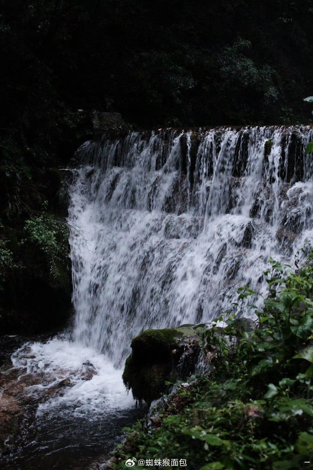 被栾川美景硬控了暑假栾川旅游好去处谁能拒绝栾川的夏日山水！漫山青绿搭配潺潺溪流，