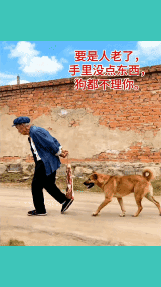 扎心，
谁造成的？
老了没钱狗都不理，
你就是年轻轻的，
没钱照样没人理你！
不