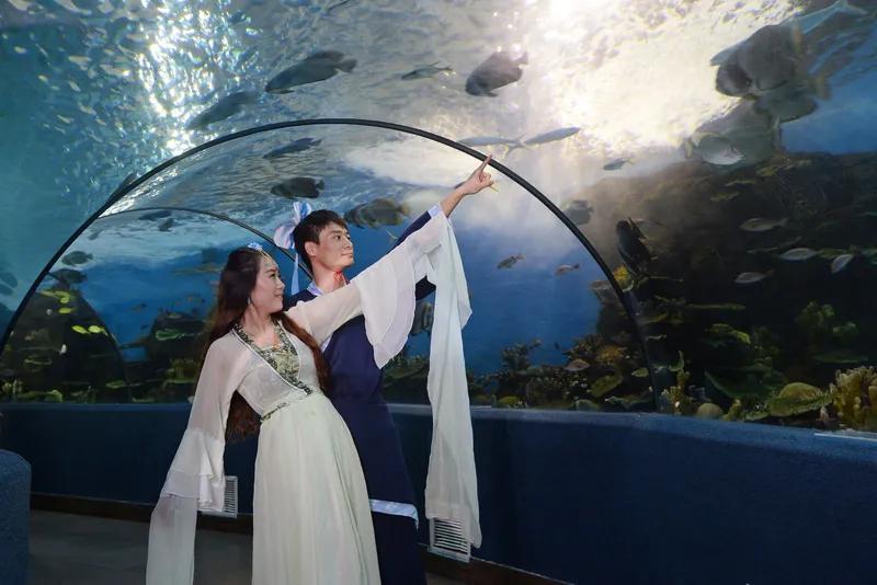 《淑女风范》
贤良淑德貌亦芳，
秀慧可心性善良。
两情相悦如金玉，
恰似织女爱牛