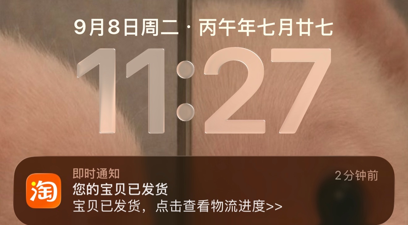 维达 刚下单没多久 已经提示发货了[流鼻血] ​​​