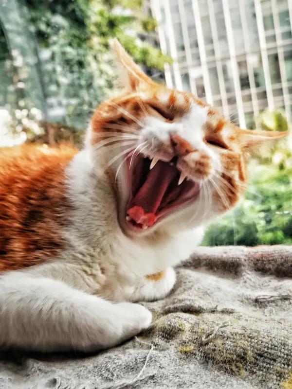 o分享今日的人生感悟【
我曾笃定，那些眉眼带笑、心平气和看待一切的人，是天生的好