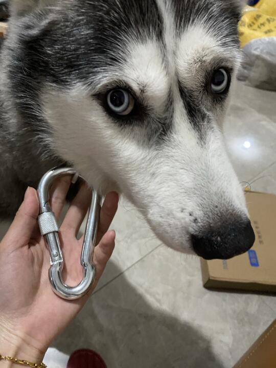 哈哈哈这个锁能锁十个奇奇吧