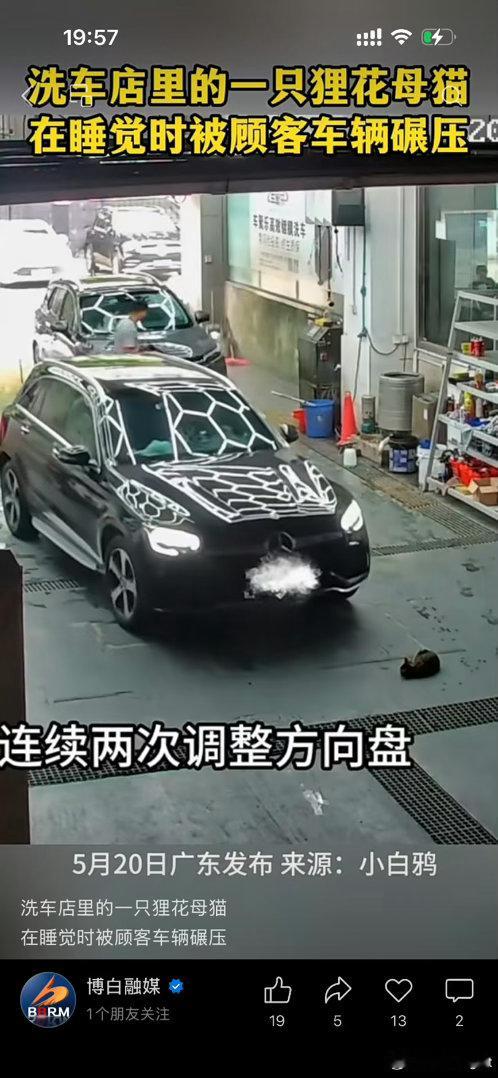 这种人就是人渣，他晚上能睡得着吗？另外，这事儿和他开什么车没关系，什么品牌的车主
