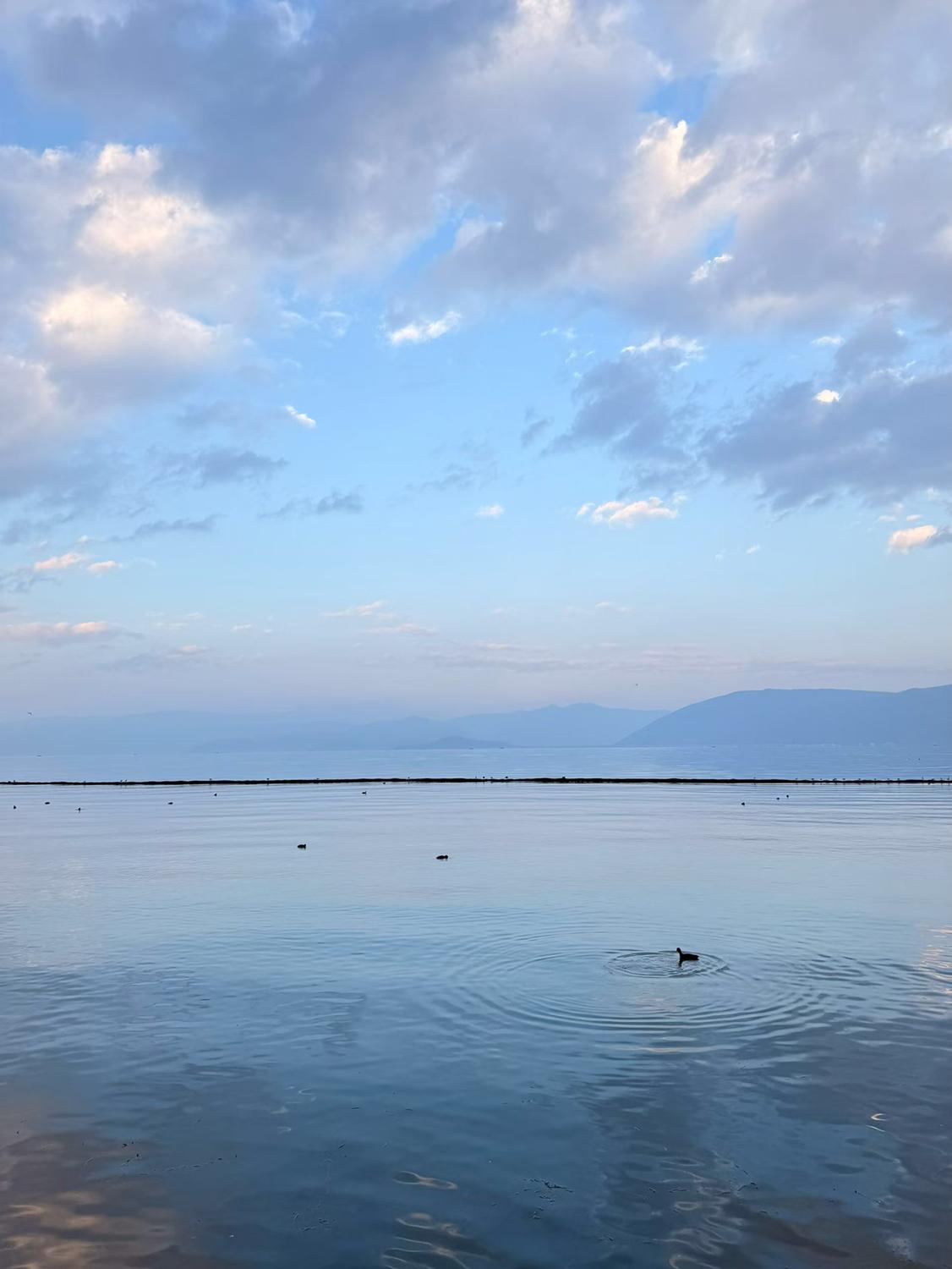 我的今日状态：😁轻松愉快
我这里的天气：☀️晴天