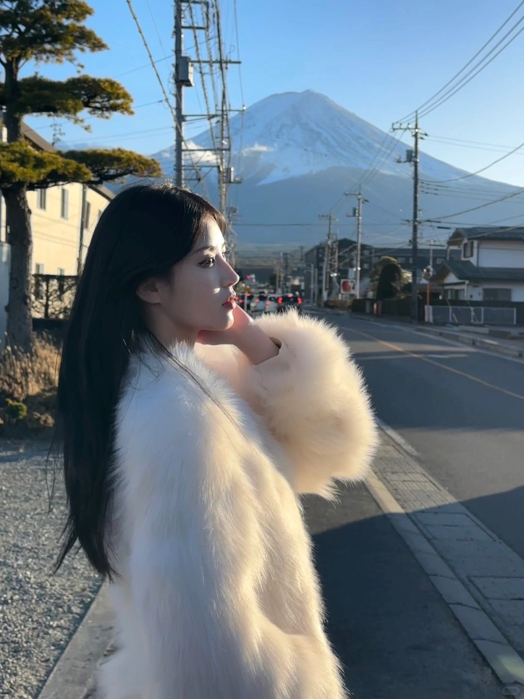 谁能凭爱意要富士山私有