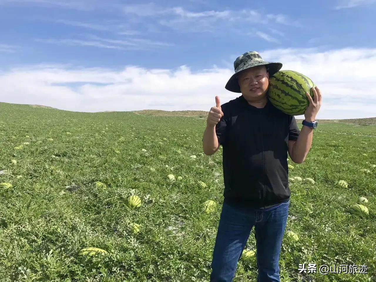 宁夏石嘴山，你来过我们这儿吗？我家有一块沙漠，我把它变成了小绿洲，并种上了西瓜 