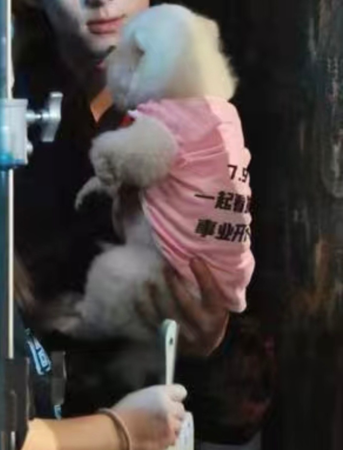 我要笑丝～巧克力已经穿上7月9日百花杀战袍了～时刻准备着嘛 