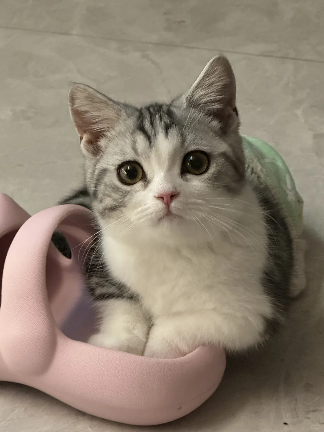 这个鞋鞋不合脚啊！