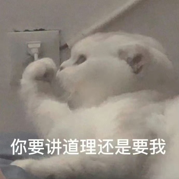 太好了是小猫表情包，我们有救啦[打call] 