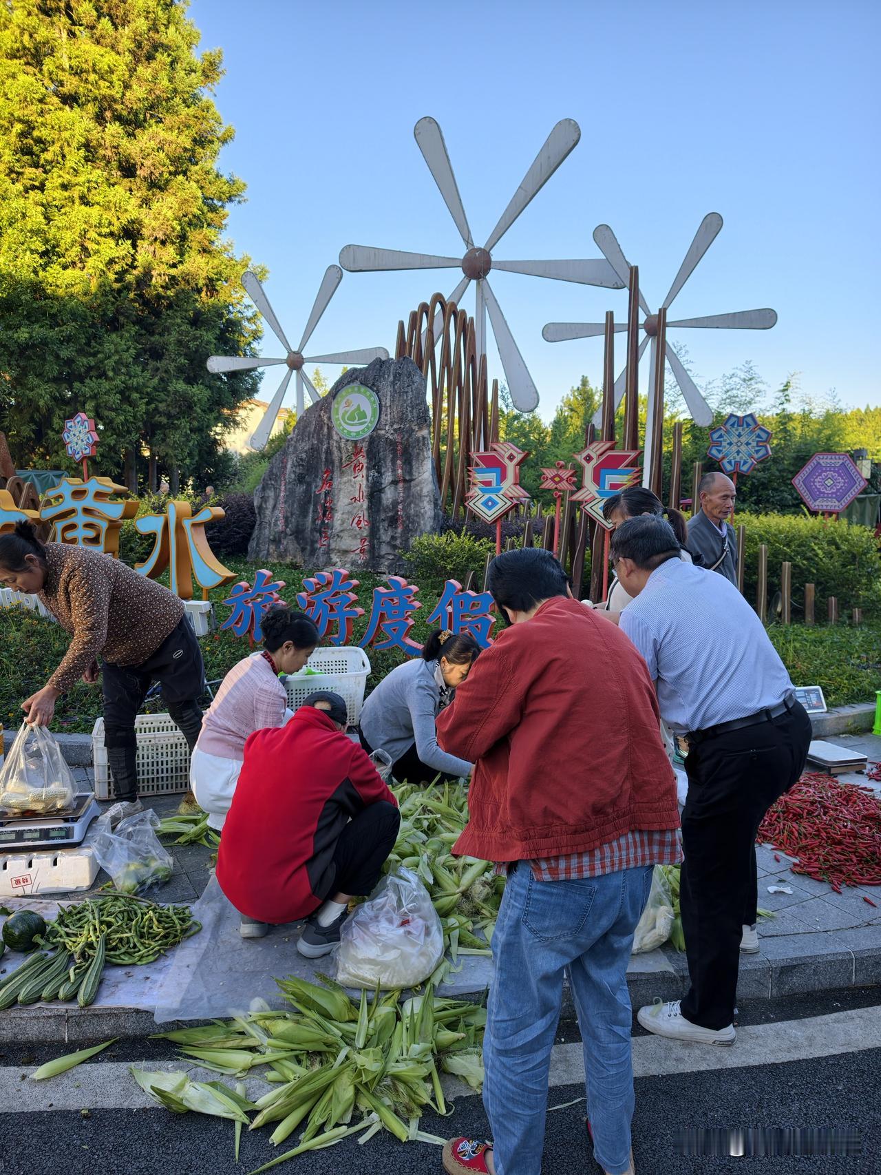 今天是9月1日，黄水的清晨已经有了浓浓的秋意。

     早上7点多钟，莼乡路