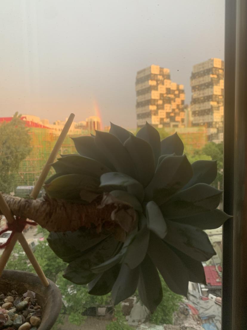 我的今日状态：😁轻松愉快
我这里的天气：🌈雨过天晴