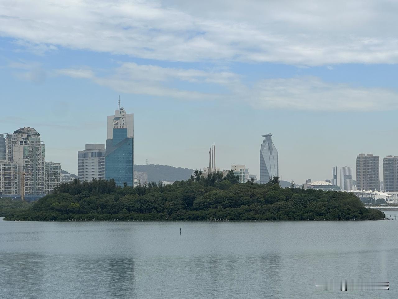 分享今天的随手拍！