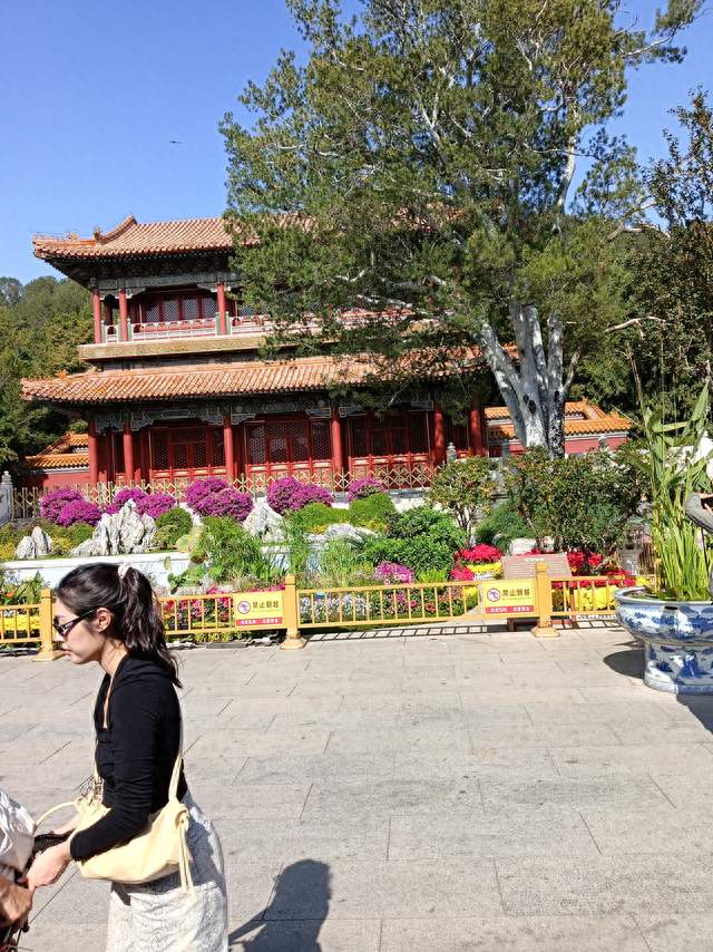 景山公园山顶可以俯视故宫，还可以遥望北海白塔的地方