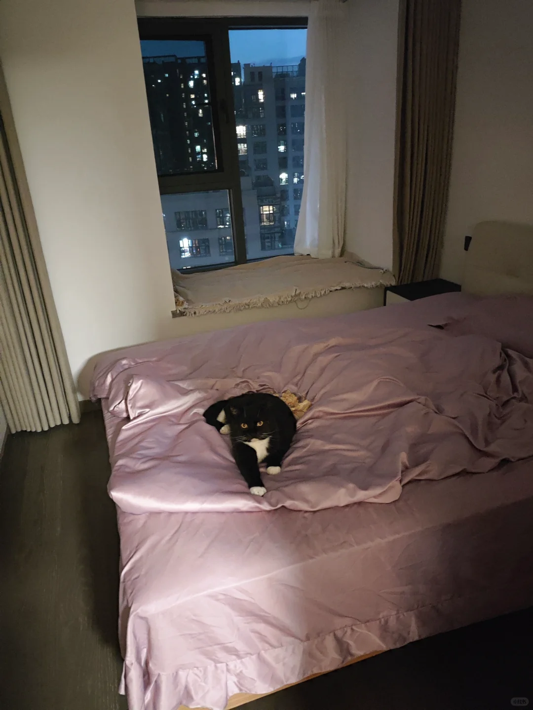 这是我新铺的床单！！！