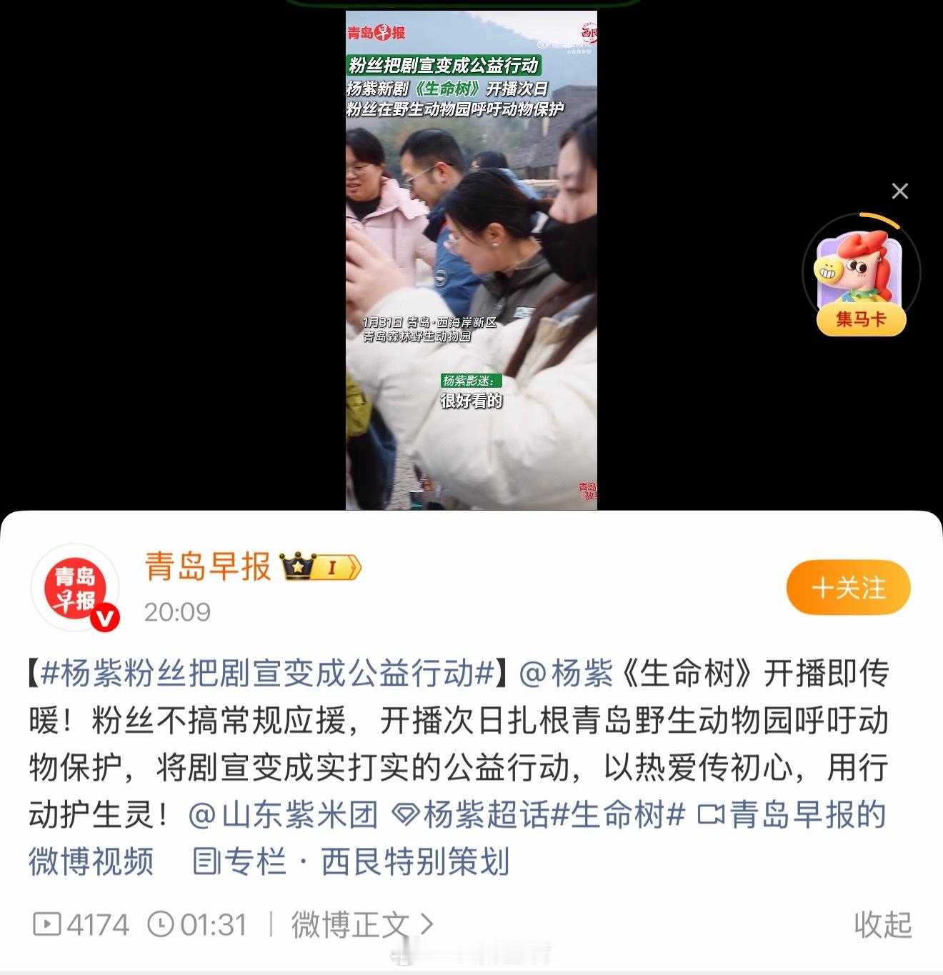 紫米姐姐带着杨紫生命树上新闻并被盛赞啦。 