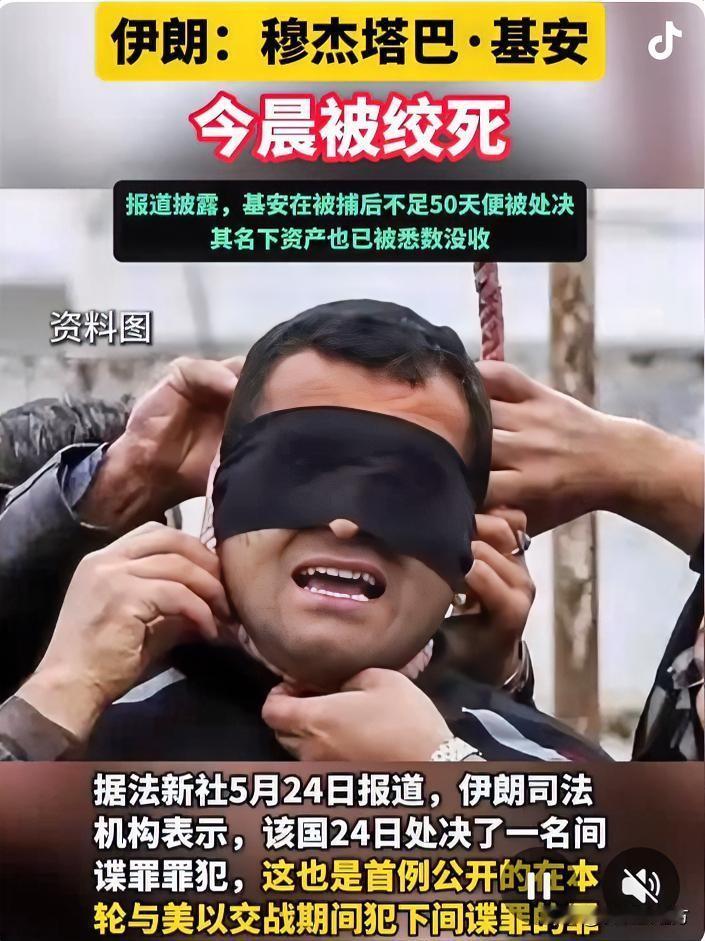 战时当内鬼，下场只有一个！绞刑架下，伊朗杀鸡儆猴，给美以狠狠上了一课！

5月2