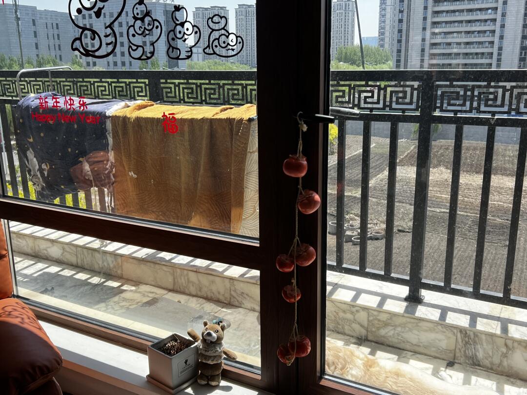 有个小小的阳台太幸福啦