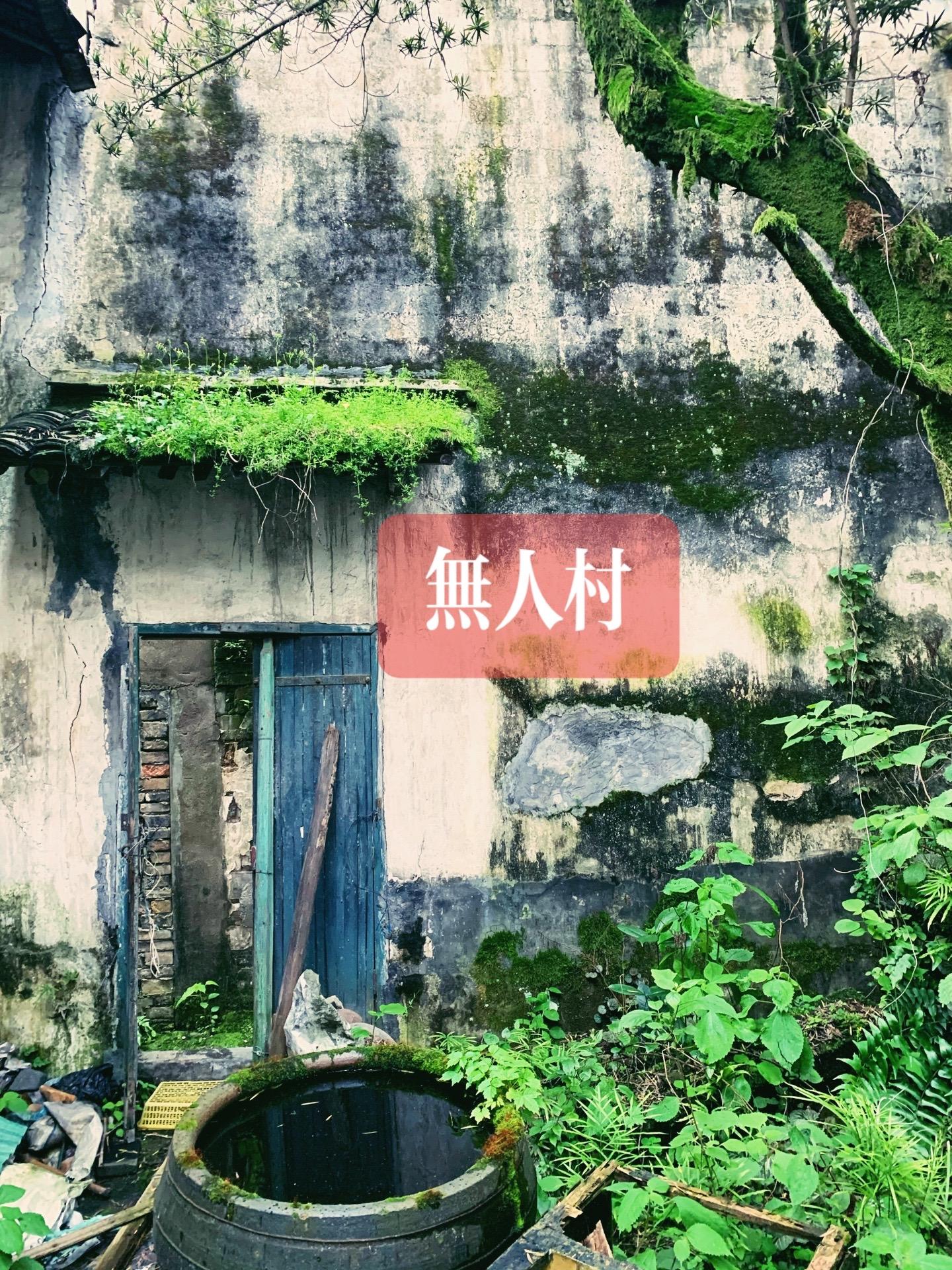 探索无人村。城市探险红唐米奇 我踏入了那座被时光遗忘的无人村。 曾经...