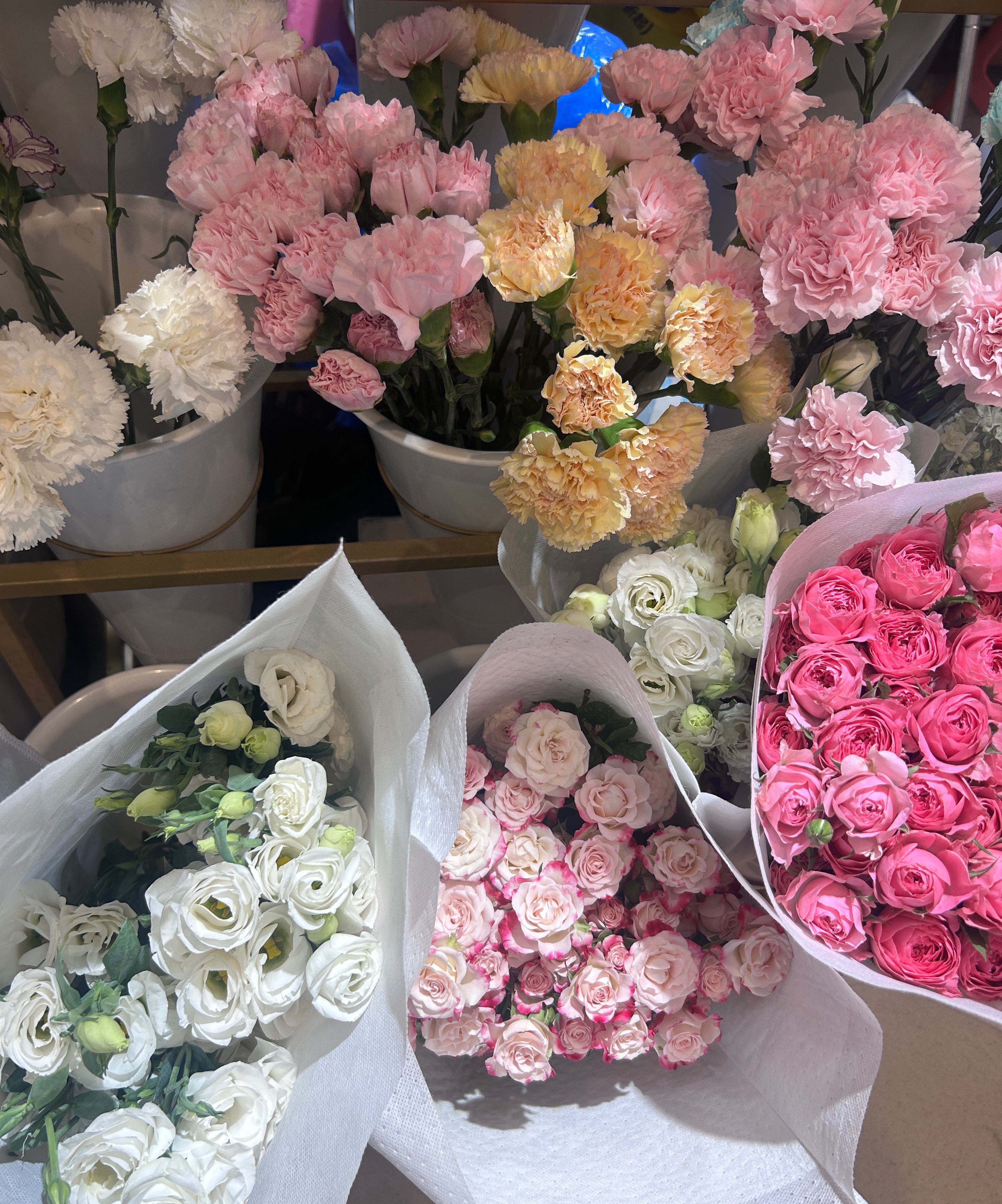 来选花花了，都想抱回家家人们帮我看看选哪束卷妹的唠嗑