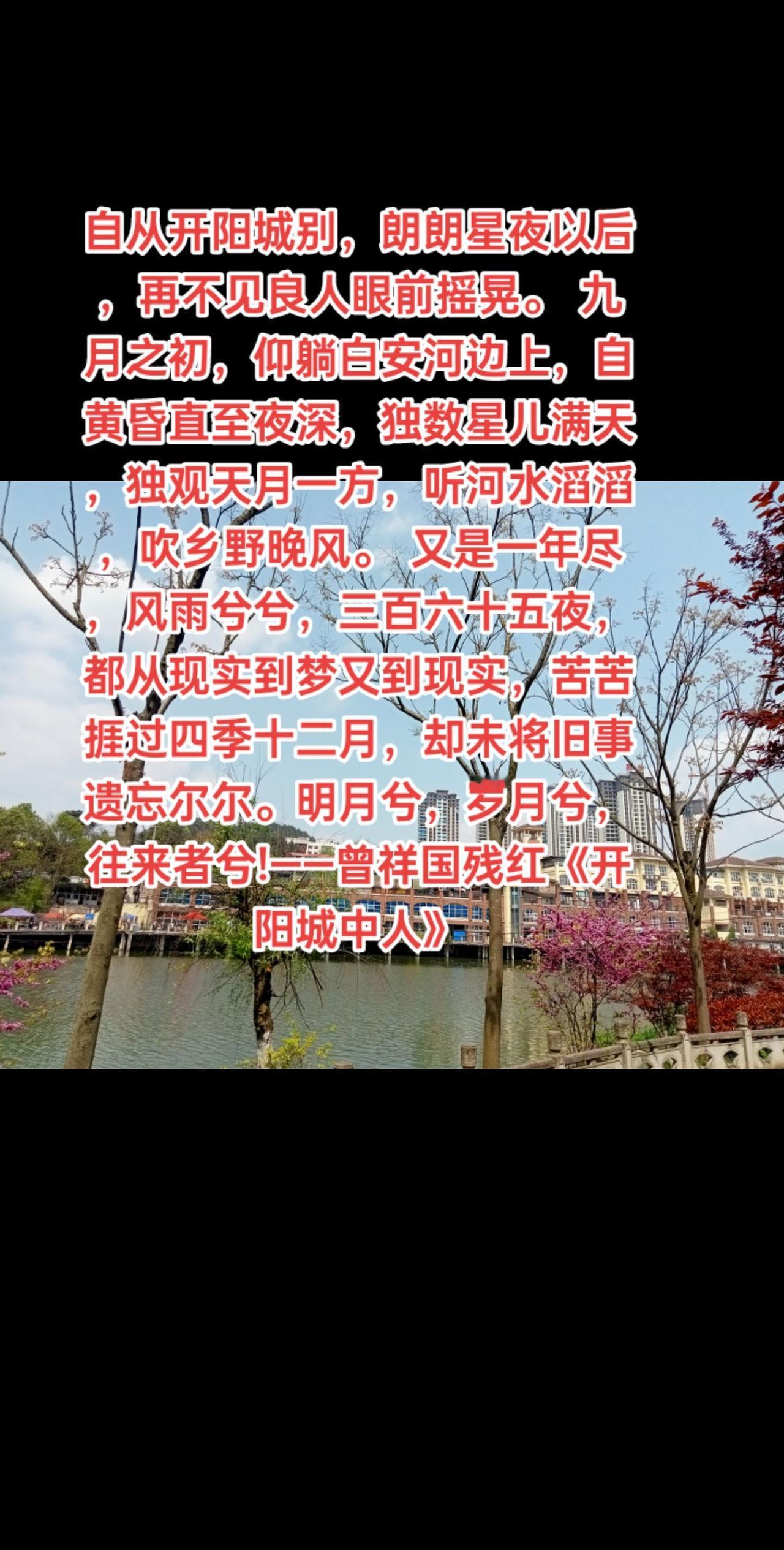 自从开阳城别，朗朗星夜以后，再不见良人眼前摇晃。
九月之初，仰躺白安河边上，自黄