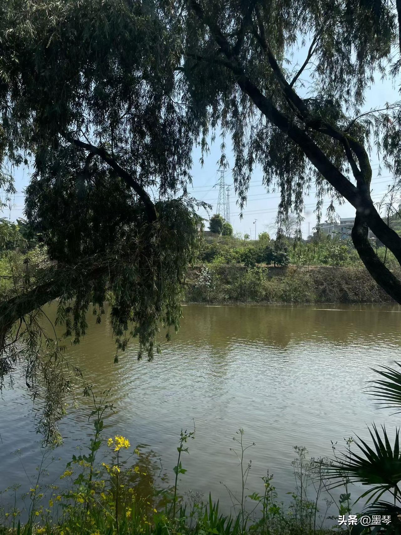 如果我们每个人都用自己的生经历去写书，那该是多么的真实而又精彩？[思考]

每个