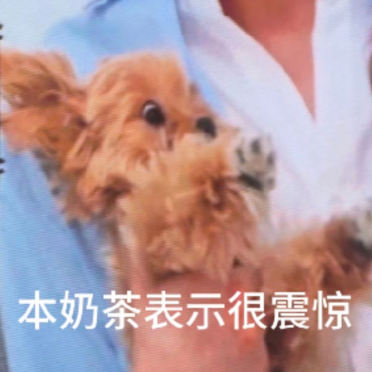 捏妈，幸好追的是老豆和兔叽，手坤保住了