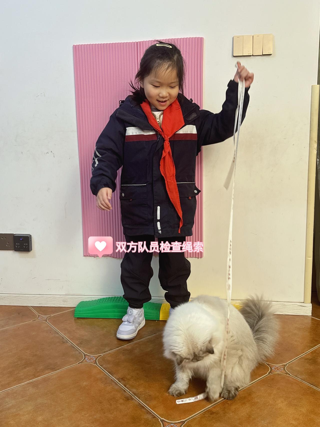 欢迎来到豆豆和九月的拨河比赛现场~
哈哈