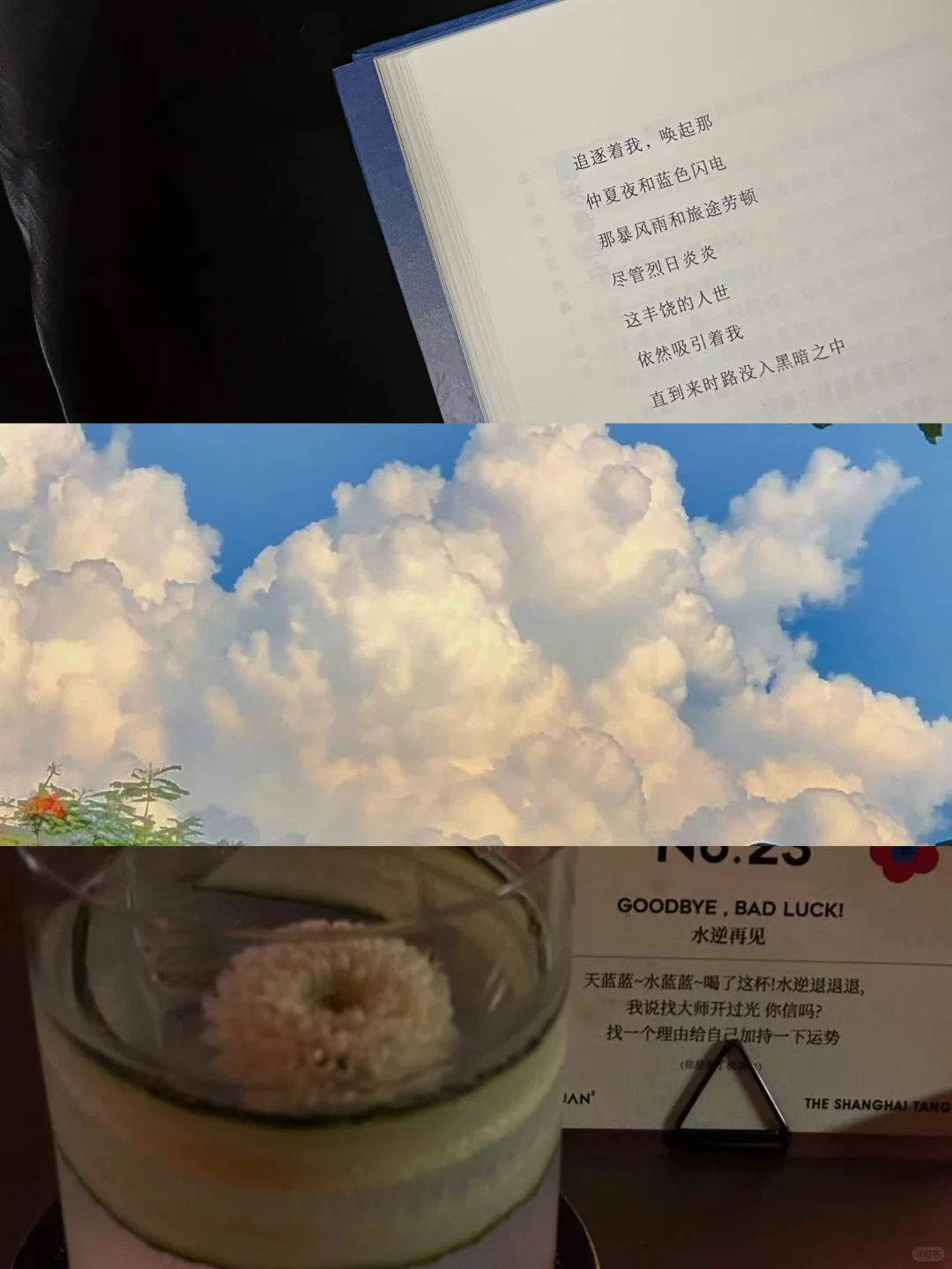 建议大家尽早找到自己如鱼得水的天赋。