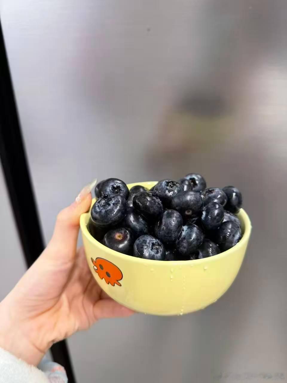 今年的蓝莓和草莓还在卖！！🫐🍓吃一次就知道了，好多姐妹从去年回购到今年蓝莓的