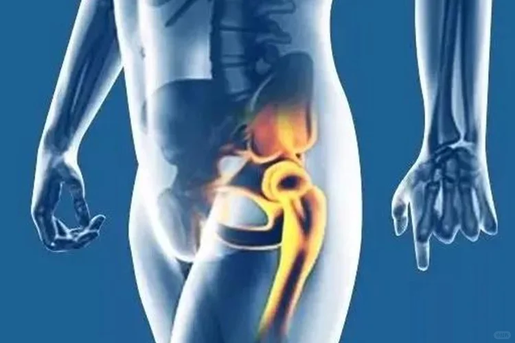 左腿大腿根和胯骨连接位置非常疼