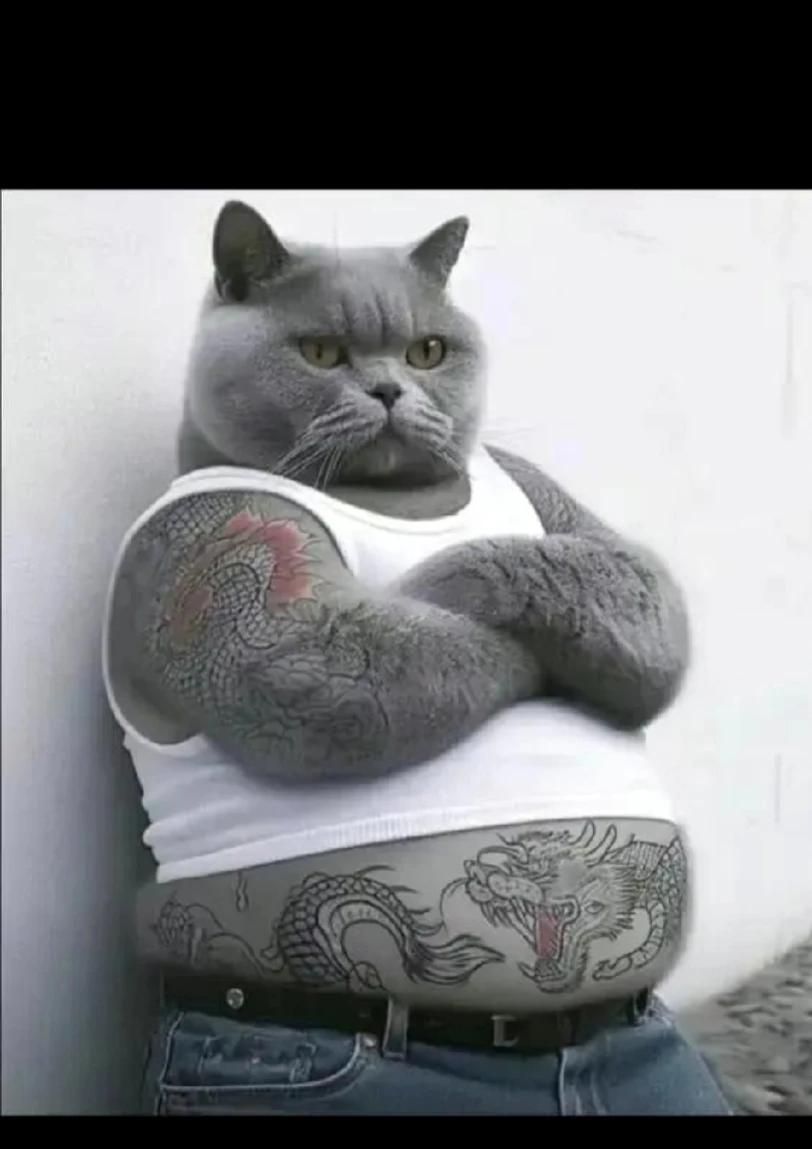 纹身大哥……🤣🤣🤣