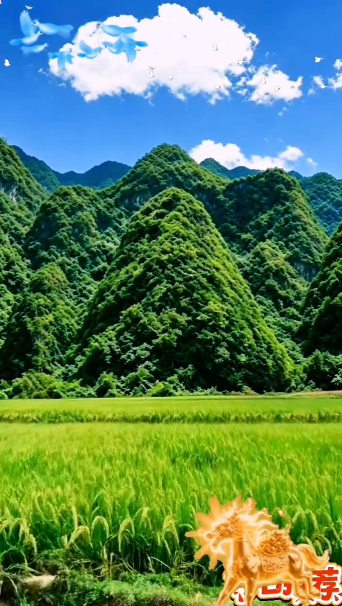 凤辇山风景。
今日推荐：贵人山。