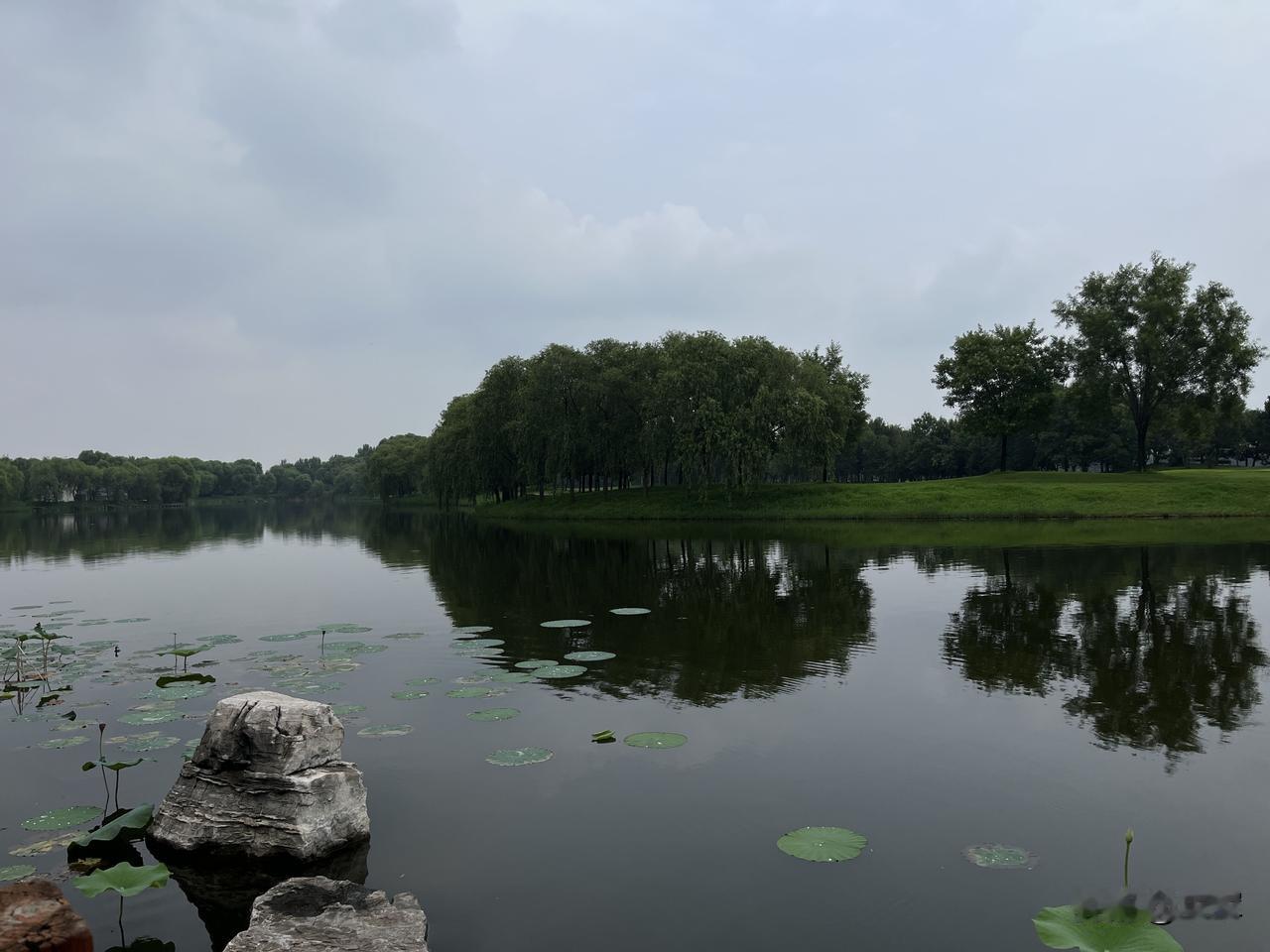 一般作怪的孩子，家庭条件好的不多，不是绝对，但是绝大多数，越是家庭条件好的，家教